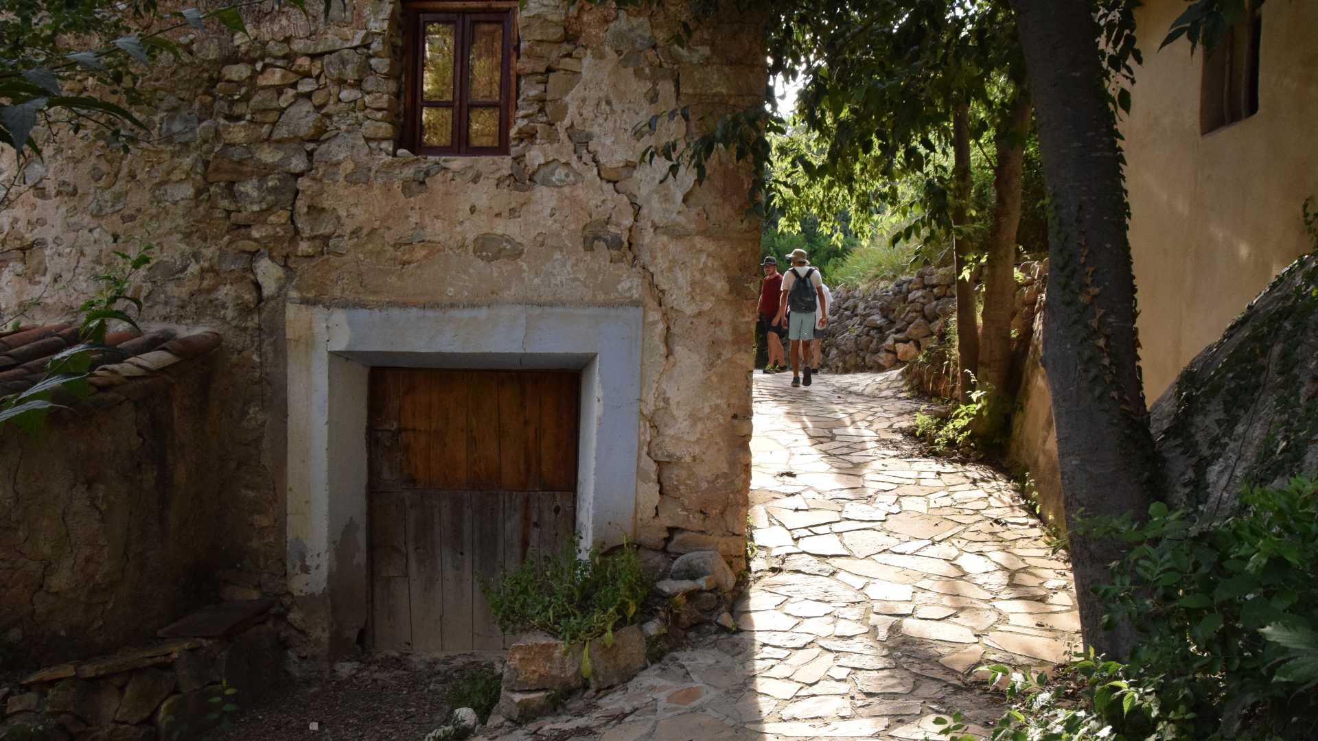 arañuel