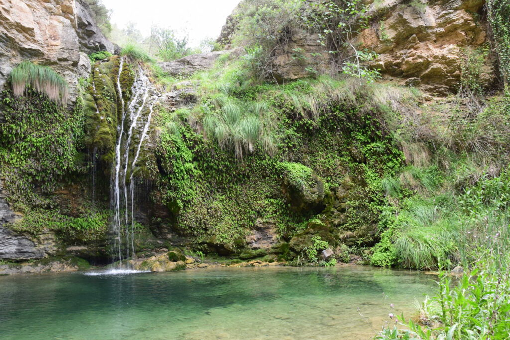 cirat agua