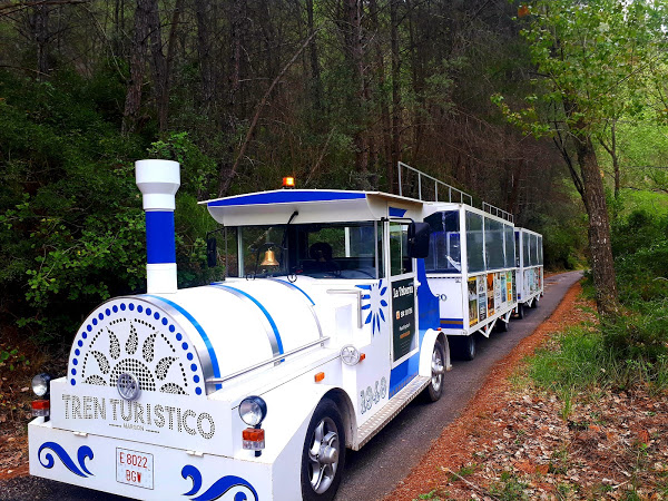 tren turistico montanejos